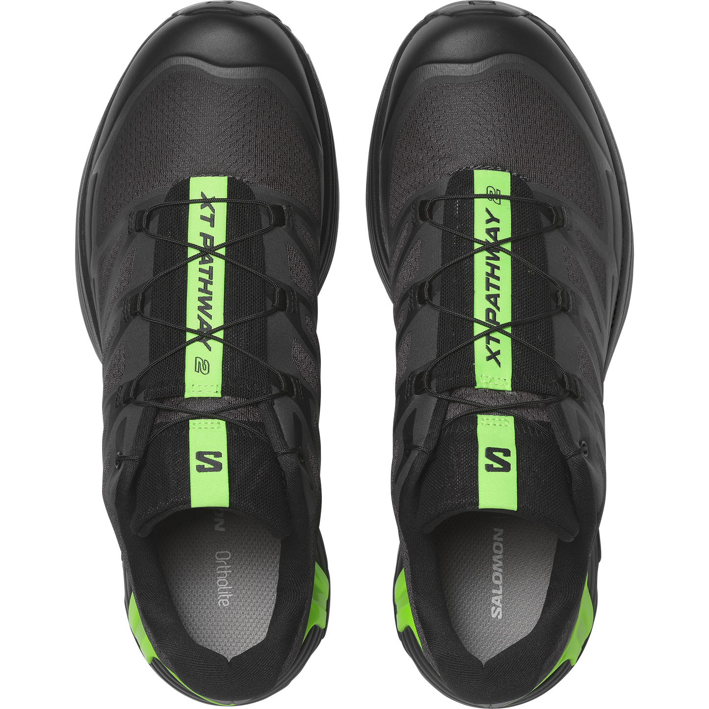 XT-PATHWAY 2