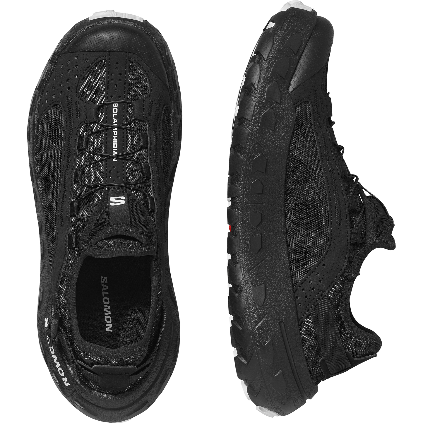 SOLAMPHIBIAN