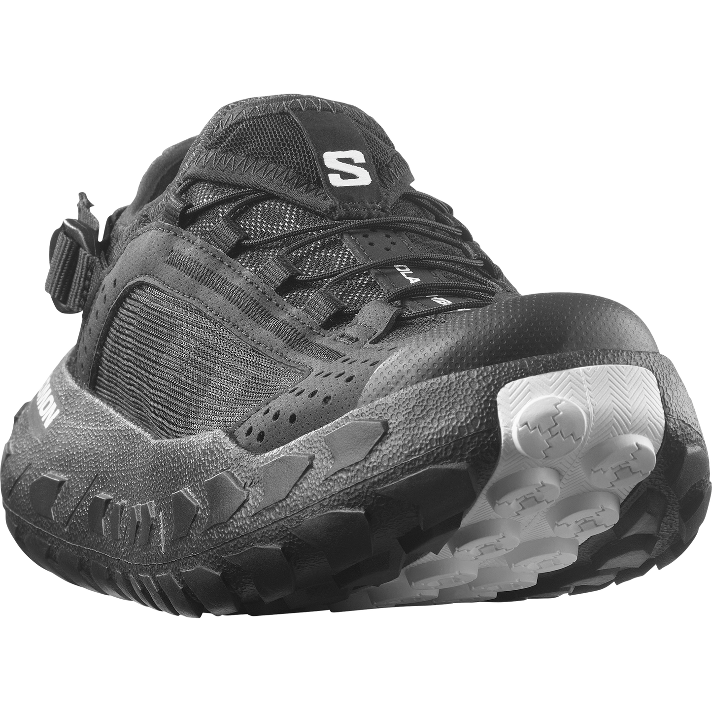 SOLAMPHIBIAN
