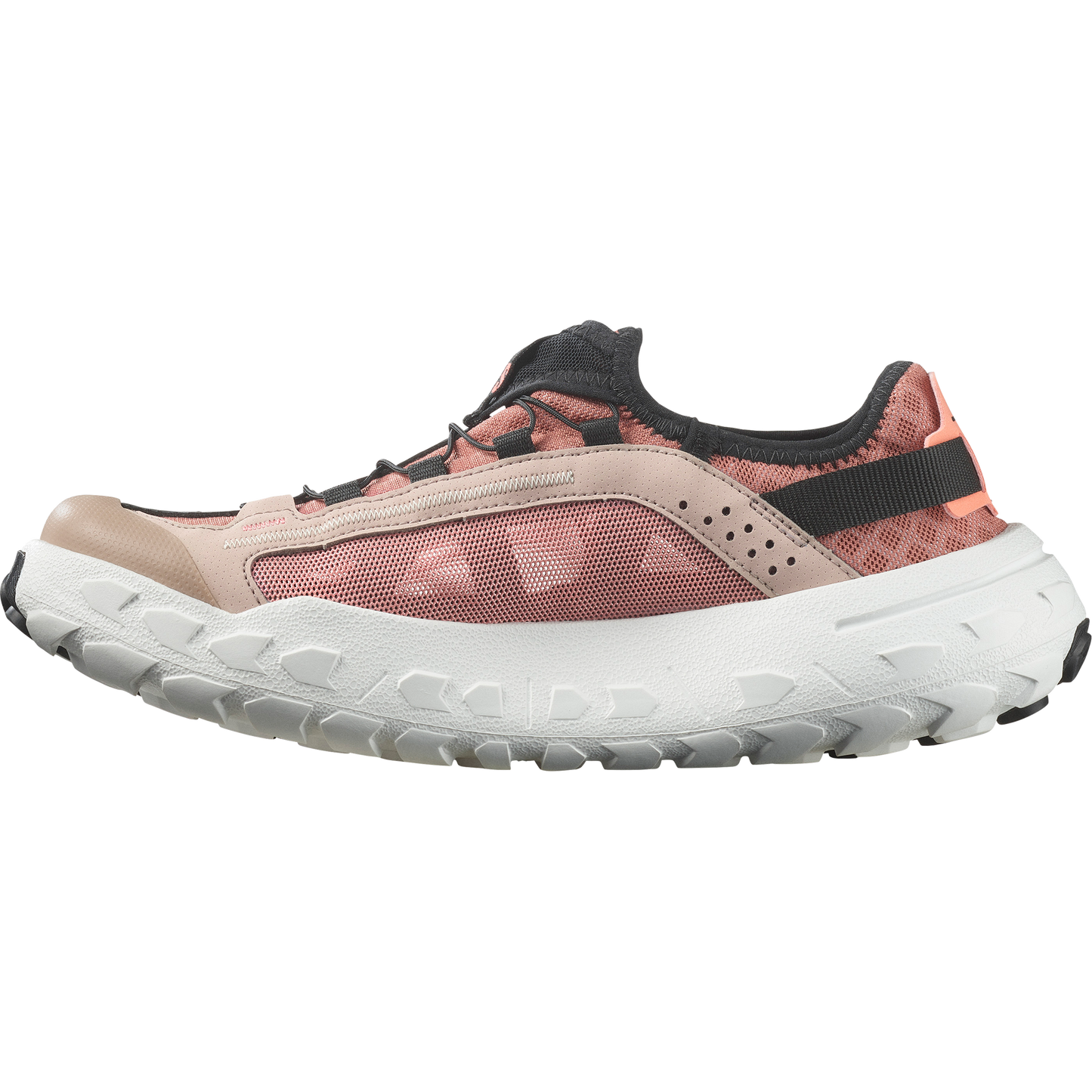 SOLAMPHIBIAN