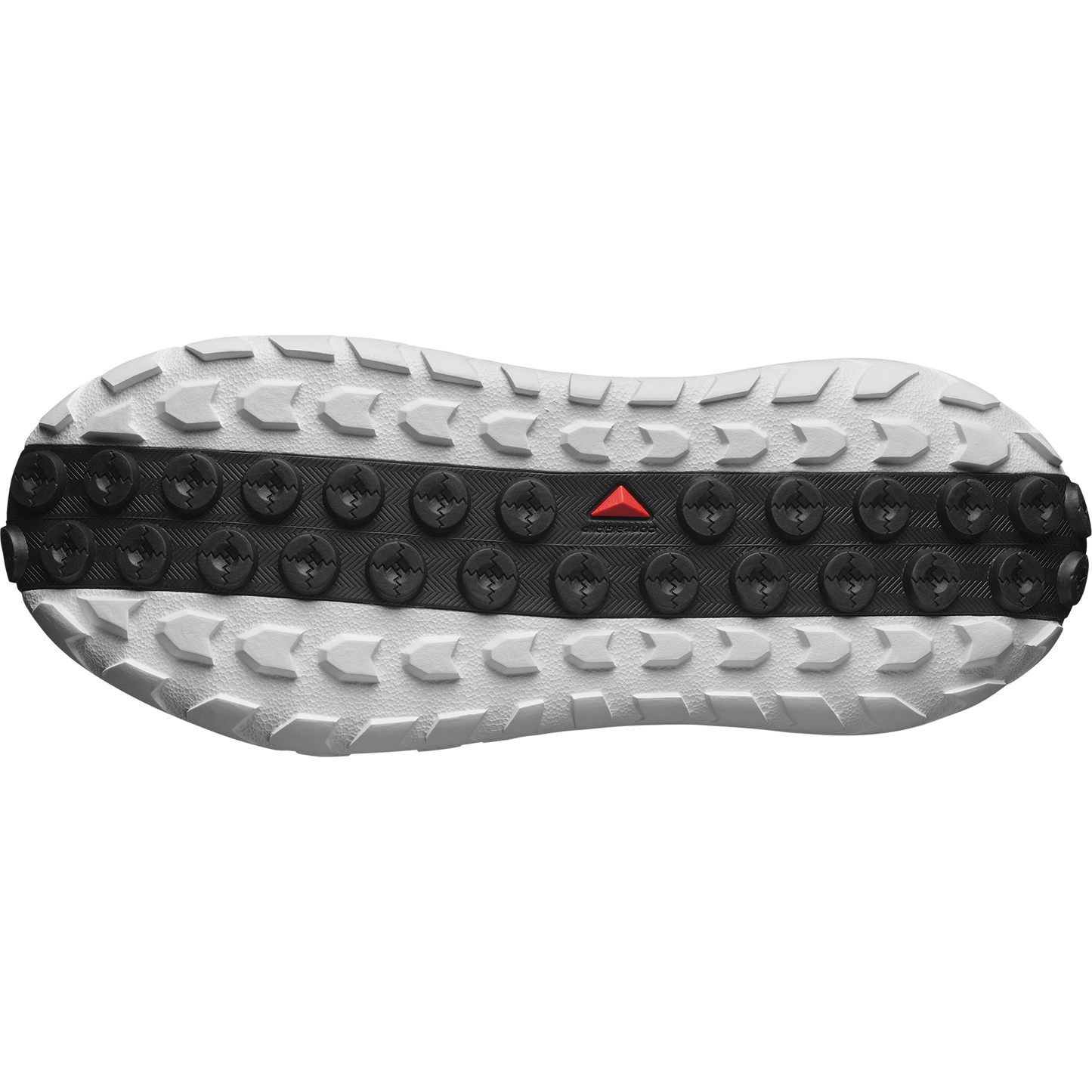 SOLAMPHIBIAN