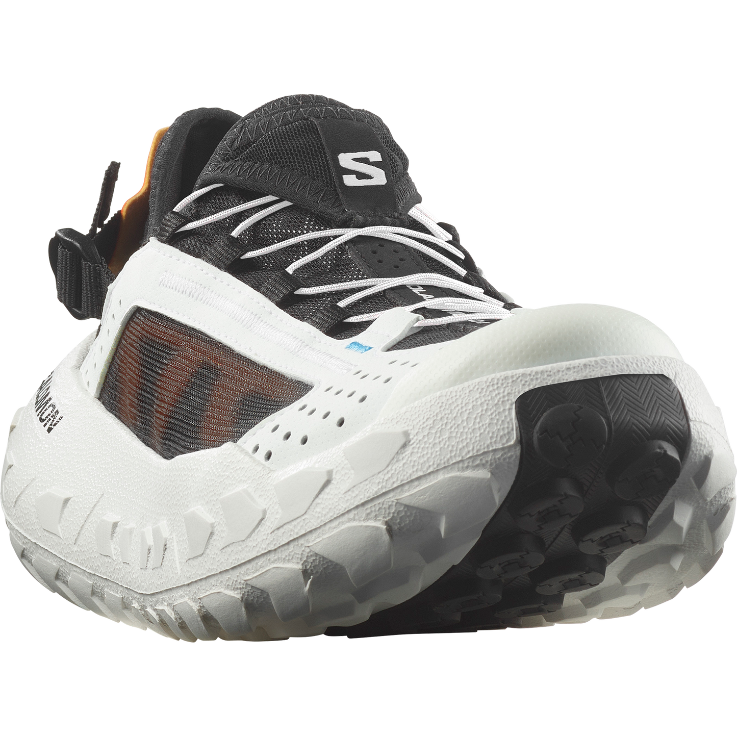 SOLAMPHIBIAN