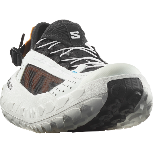 SOLAMPHIBIAN