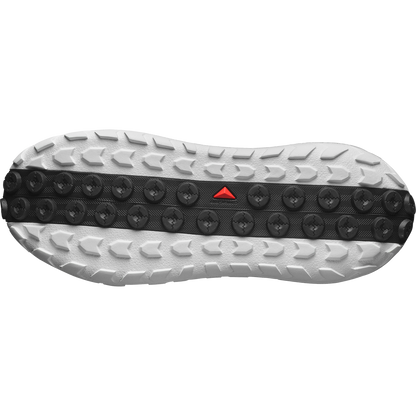 SOLAMPHIBIAN