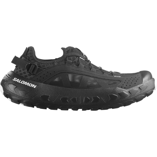 SOLAMPHIBIAN