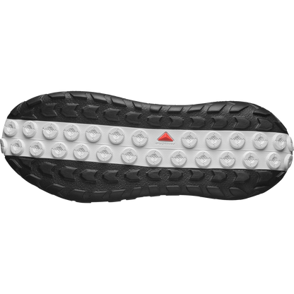 SOLAMPHIBIAN