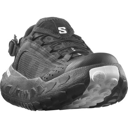 SOLAMPHIBIAN