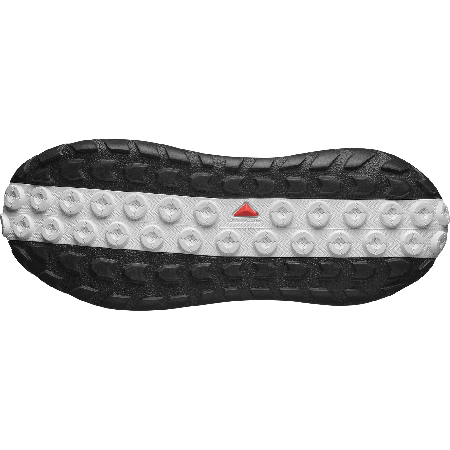 SOLAMPHIBIAN