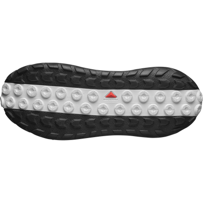 SOLAMPHIBIAN
