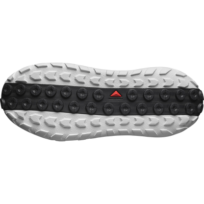 SOLAMPHIBIAN